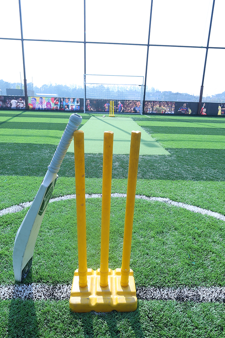 Cricketer